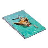 Zwemmen van varkens in water notitieboek (Rechterzijde)