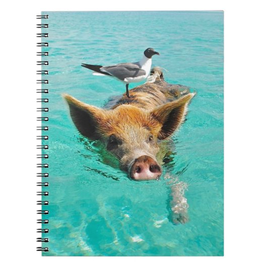 Zwemmen van varkens in water notitieboek (Voorkant)