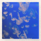 Zwemmen van zeebrasem Onderzetter Glazen Onderzetter (Voorkant)