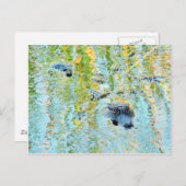 Zwemmen voor gelijkrichters briefkaart (Voorkant / Achterkant)