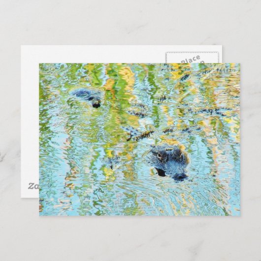 Zwemmen voor gelijkrichters briefkaart (Voorkant / Achterkant)