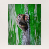 Zwemmen Zee Lon Sluiten, Jigzaag Puzzle Legpuzzel (Verticaal)