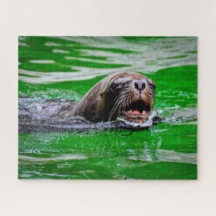 Zwemmen Zee Lon Sluiten, Jigzaag Puzzle Legpuzzel
