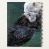 Zwemmen Zee otters Planner (Achterkant)
