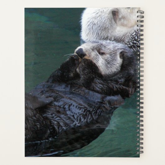 Zwemmen Zee otters Planner (Achterkant)