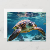 Zwemmen Zee Schildpad in de Oceaan Briefkaart (Voorkant / Achterkant)