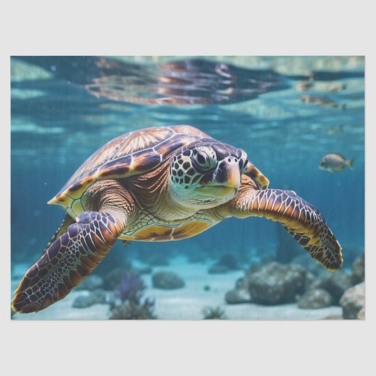 Zwemmen Zee Schildpad in de Oceaan Tissuepapier (Voorkant)