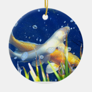 zwemmende koi karper ornament