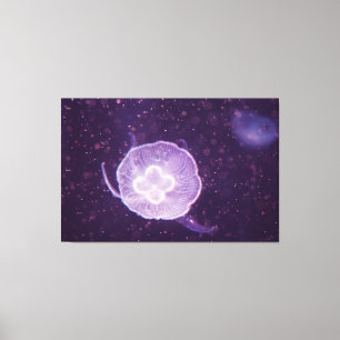 Zwemmende kwal canvas afdruk