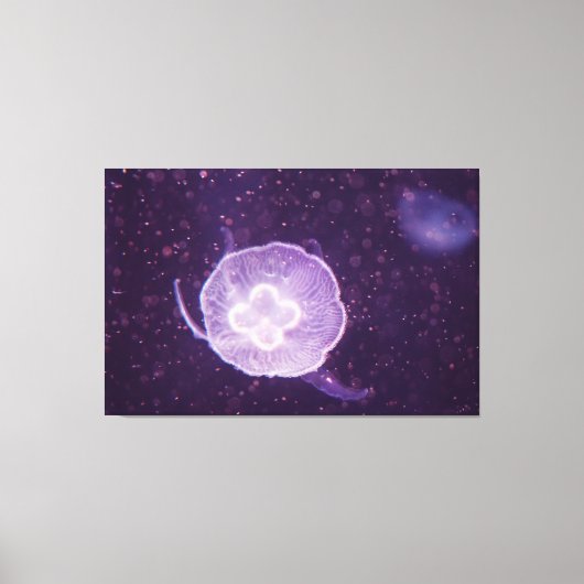 Zwemmende kwal canvas afdruk (Voorkant)