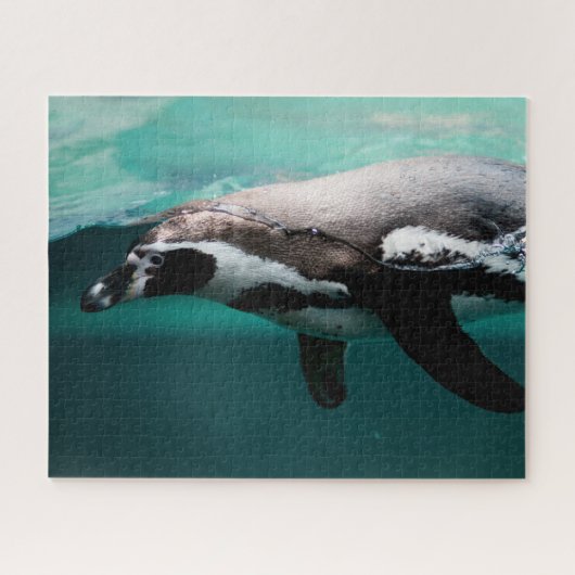 Zwemmende Pinguïn, Legpuzzel (Horizontaal)