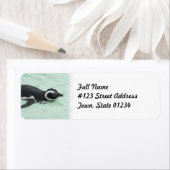 Zwemmende pinguïn retour adres label (Insitu)