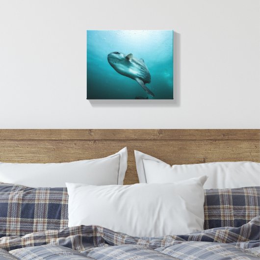 Zwemmende zonnevis canvas afdruk (Insitu (Slaapkamer))
