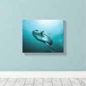 Zwemmende zonnevis canvas afdruk (Insitu (Houten vloer))