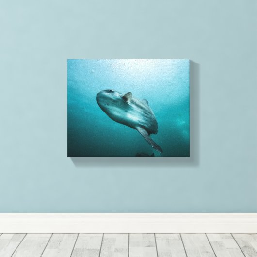 Zwemmende zonnevis canvas afdruk (Insitu (Houten vloer))