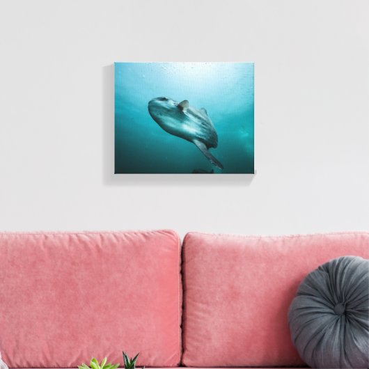 Zwemmende zonnevis canvas afdruk (Insitu (Woonkamer))
