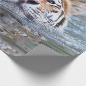 ZwemmenTiger20150901 Cadeaupapier (Hoek)