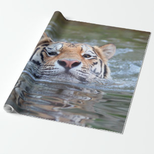 ZwemmenTiger20150901 Cadeaupapier