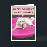 ZWEMMERENDE DOG LIEFT BROTHER/BEST VRIEND BIRTHDAY KAART<br><div class="desc">DEZE ZWEMENDE DOG HOUDT VAN ZIJN/HAAR "BROER" EN ZEGT DAT HIJ ZIJN "BESTE VRIEND" IS OP ZIJN GROTE DAG!</div>