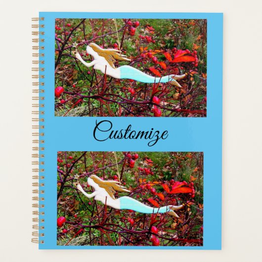 zwemmermaïde planner (Voorkant)