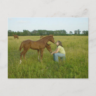 Zwemmetjes Postkaart