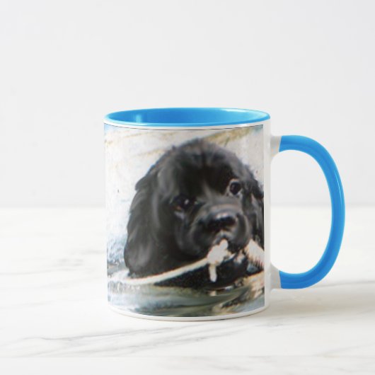 zwemnewfs - mok (Rechts)