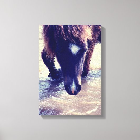 Zwempaarden Canvas Afdruk (Voorkant)