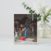 Zwempaarden op de kermis briefkaart (Staand voorkant)