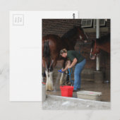 Zwempaarden op de kermis briefkaart (Voorkant / Achterkant)