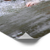 Zwempupppy Splashing Poster (Hoek)