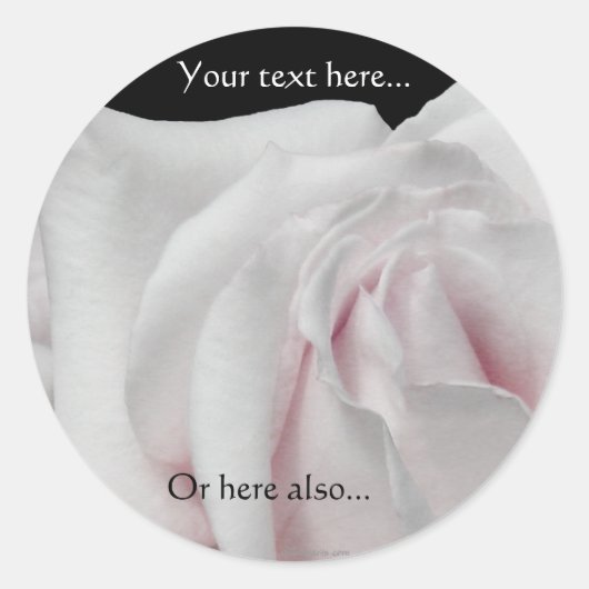 Zwemrijke Bleke witroze en roze roze weddenschappe Ronde Sticker (Voorkant)