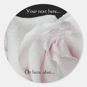 Zwemrijke Bleke witroze en roze roze weddenschappe Ronde Sticker