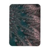 Zwemroze en blauwe veren magneet (Verticaal)