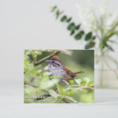 Zwemrugzak Briefkaart (Staand voorkant)