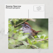 Zwemrugzak Briefkaart (Voorkant / Achterkant)