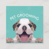 Zwemsalon met laag poly Dog Pet Care Grooming Afsprakenkaartje (Voorkant)
