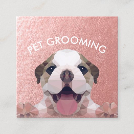 Zwemsalon met laag poly Dog Pet Care Grooming Afsprakenkaartje (Voorkant)