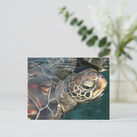 Zwemschildpad Briefkaart (Staand voorkant)