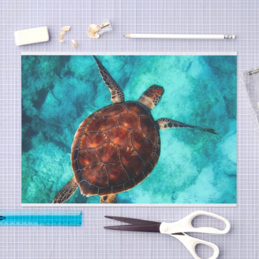 Zwemschildpad in blauw zeewater tissuepapier (Craft)