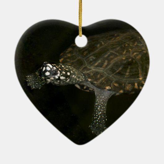 Zwemschildpad Keramisch Ornament (Achterkant)