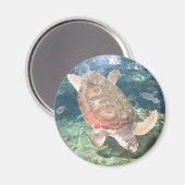 Zwemschildpad magneet (Voorkant / Achterkant)