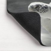 Zwemschildpad Muismat (Hoek)