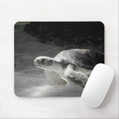 Zwemschildpad Muismat (Met muis)