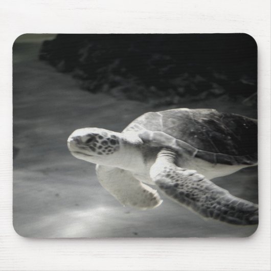 Zwemschildpad Muismat (Voorkant)