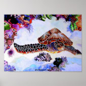 zwemschildpad poster (Voorkant)