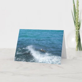 Zwemschildpad wenskaart (aanmoediging) kaart