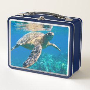 Zwemschildpad Zee