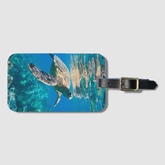 Zwemschildpad Zee Bagagelabel (Voorkant (horizontaal))