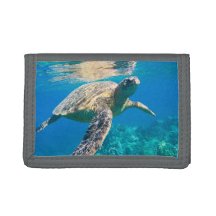 Zwemschildpad Zee Drievoud Portemonnee