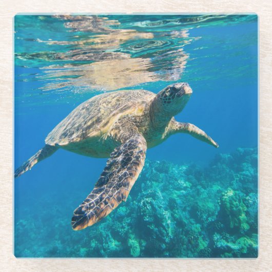 Zwemschildpad Zee Glazen Onderzetter (Voorkant)